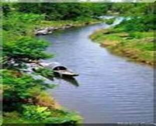 4343 5 ThemChutXuanNongBT