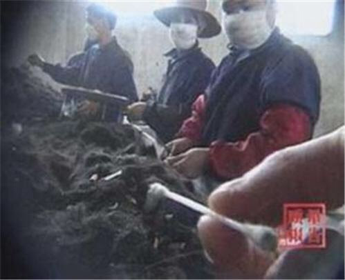 4901 4 MakeInChinaQDo