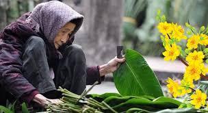 5683 2 ConNaoQuenNgVThang