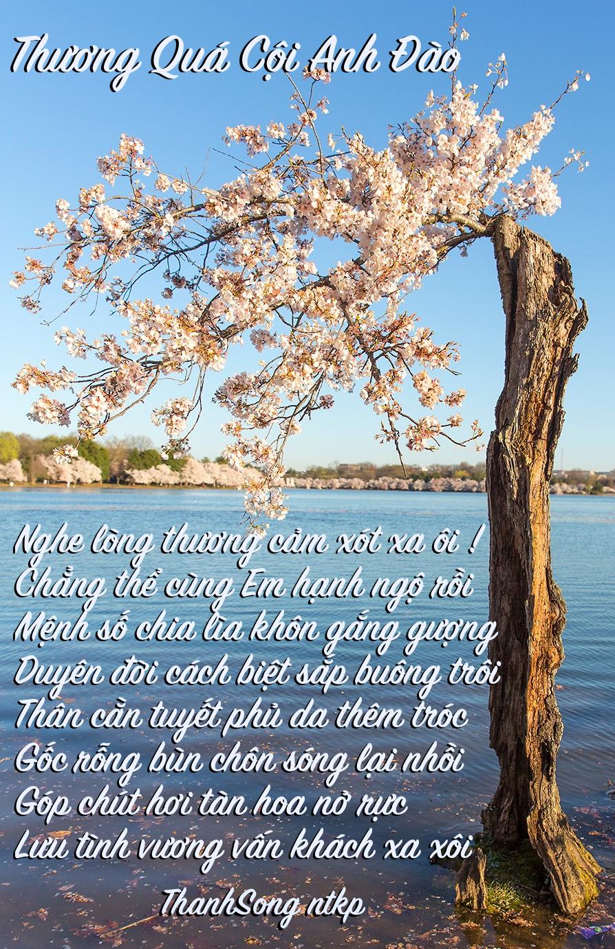 5689 1 CoiAnhDapTSKP